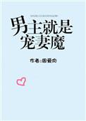 男主是宠妻狂魔的