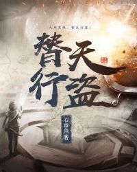 替天行盗顶点