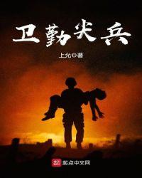卫勤尖兵是什么意思