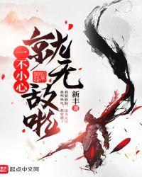 一不小心就无敌啦境界