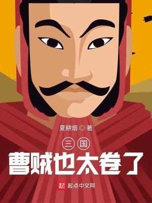 三国曹贼也太卷了 笔趣