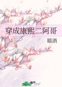 穿成康熙二阿哥 作者瞄酒32