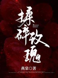 揉碎玫瑰明烛免费阅读
