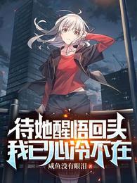 我已心冷不在 官网