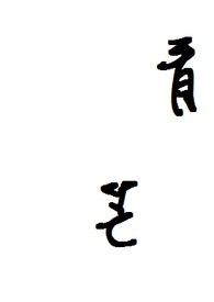 青盲电视剧全集在线高清免费观看