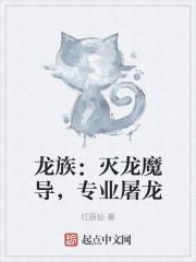 龙族技能介绍