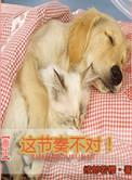 重生这节奏不对 百度
