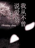 你从不曾爱过我