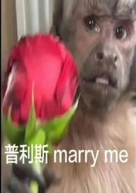 自我沉沦钟