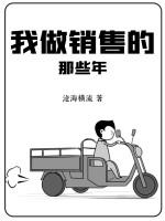 我做销售那些年类目