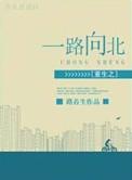 重生之一路向北讲的什么