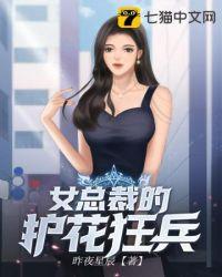 女总裁的护花兵王衫狼