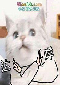 翻身道情简谱
