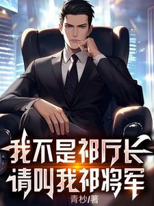 请叫我祁将军