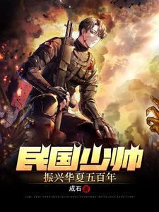 民国少帅免费阅读
