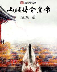 山贼1966