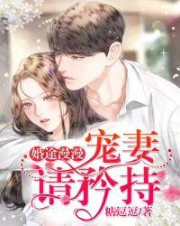 婚途漫漫总裁宠妻花样多秦笙