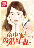 闪婚厚爱帝少宠妻成瘾