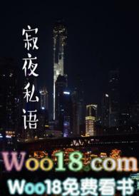 寂夜私语 黄金矿工免费阅读
