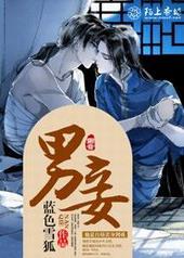 男妾是什么