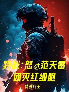范天雷使用的枪