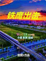 铁鹰出击最新章节