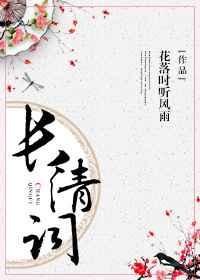 长清词txt