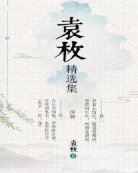 袁枚写的文章