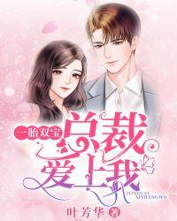 一胎双宝总裁宠妻无度全文免费