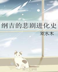纲吉的悲剧进化史百度