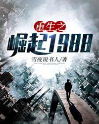 重生之崛起1988雪夜说书人