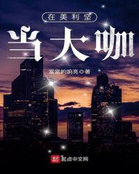 在美利坚当大咖书评