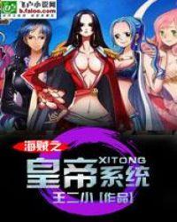 海贼王之海贼王系统
