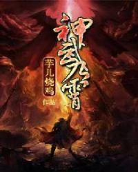 神武九霄芋儿烧鸡