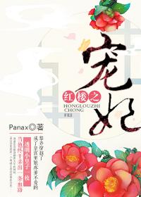 红楼之宠妃 作者睡醒就饿