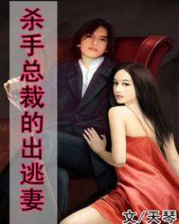 杀手总裁的出逃妻 天琴txt