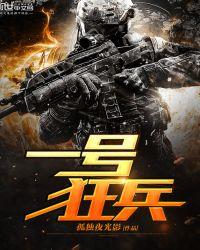 一号狂兵完结免费