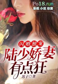闪婚独宠陆少娇妻有点狂 苏子