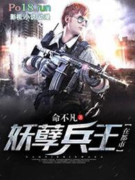 妖孽兵王在都市叶洛
