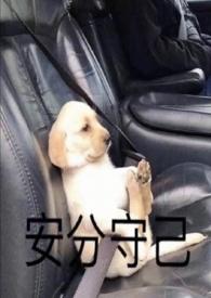 遥无可期湛瑶湛竹