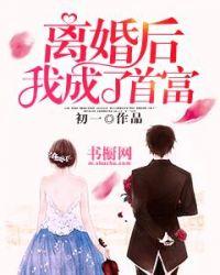 离婚后我成了首富txt