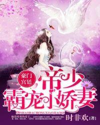 豪门私宠帝少轻点宠