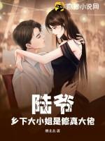 陆爷乡下大小姐是修真大佬