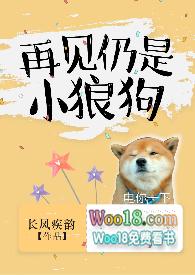 再见仍是小狼狗分节阅读
