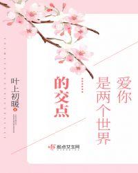 爱你是两个世界的交点下一句