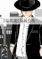 综英美反派公敌全文免费阅读
