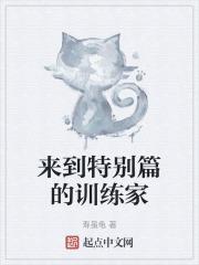训练家大集合特别动画