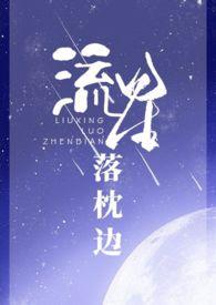 流星落枕边(1v1 H)(紫苏鱼)