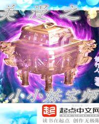 美漫小小炼宝师TXT