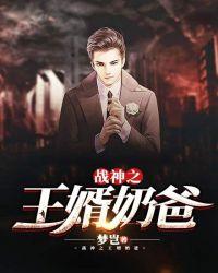 战神之王婿奶爸叶轩笔